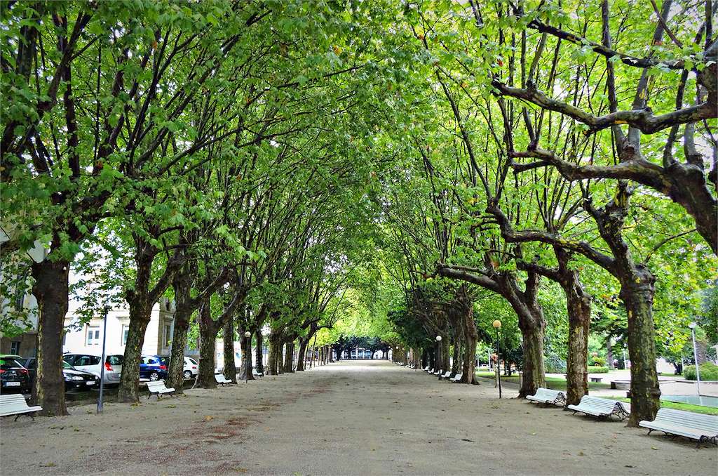 Cantón de Molíns en Ferrol