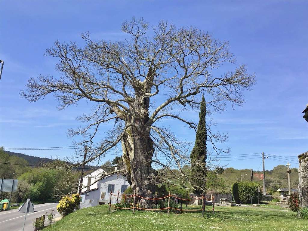 Capela do Castiñeiro en Begonte
