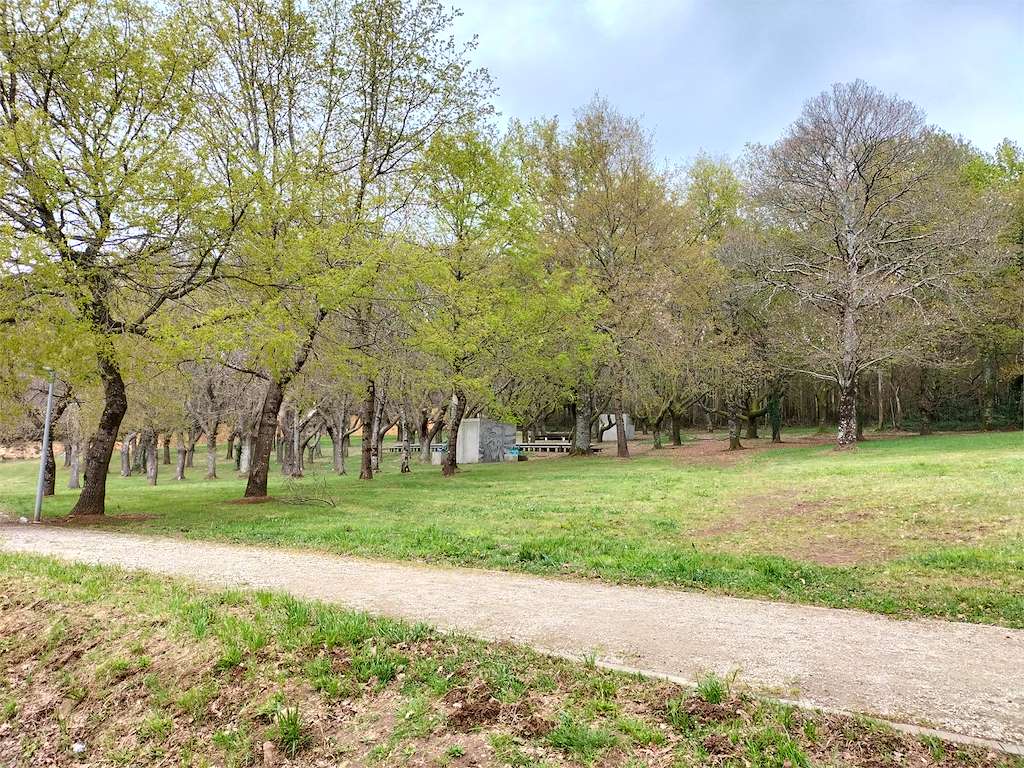 Carballeira de Rodo en Lalín