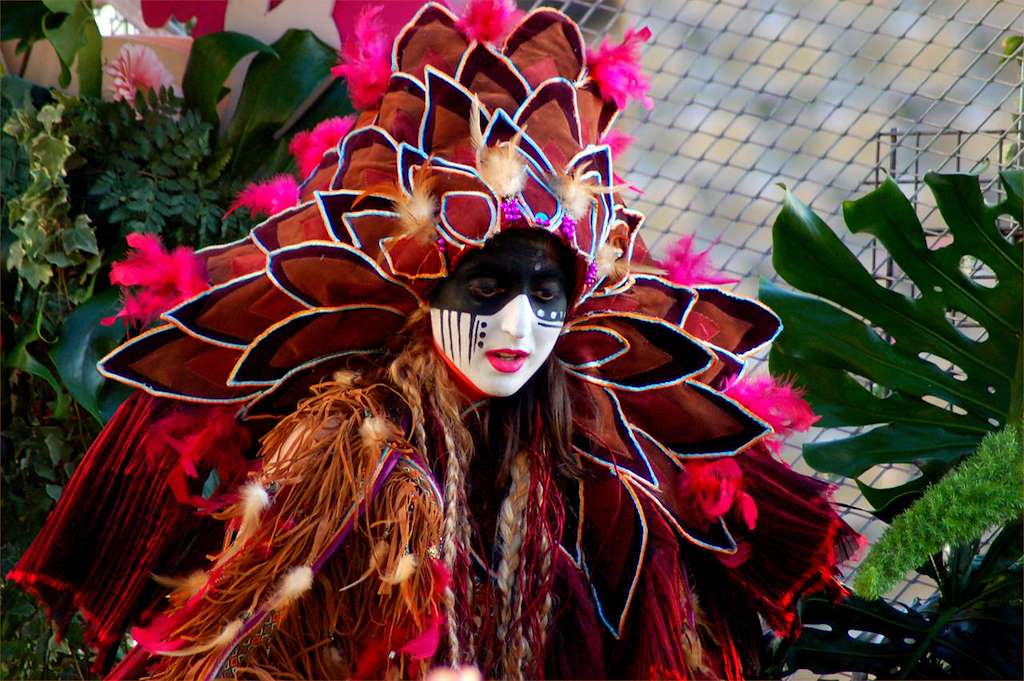Carnaval de Vilanova de Santiso en Malpica de Bergantiños