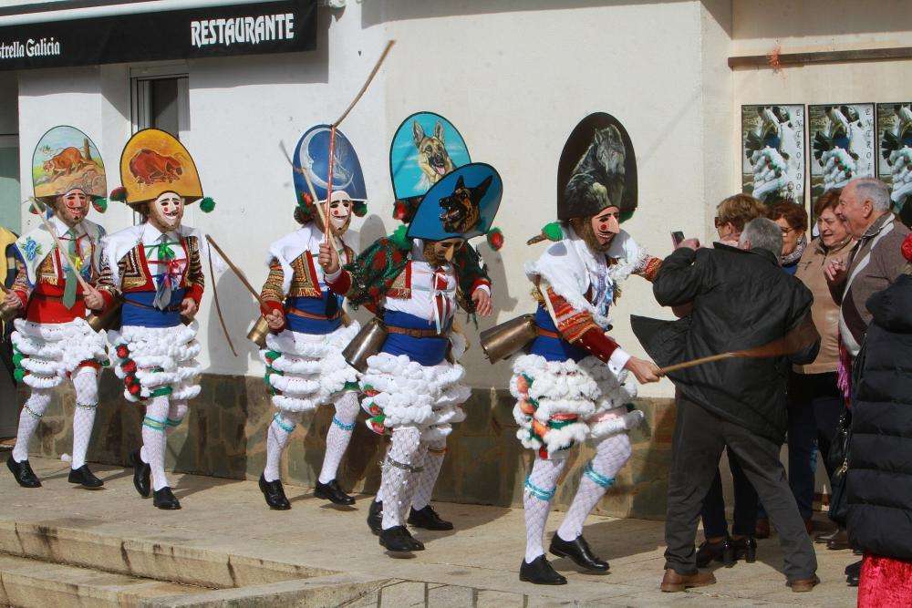 Carnaval (2026) en Laza