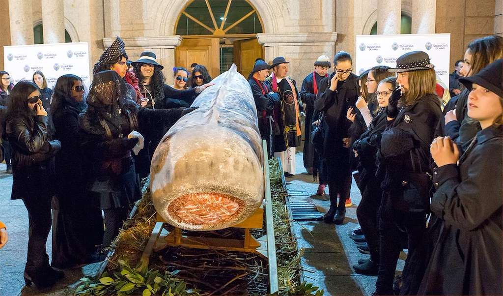Carnaval en Salvaterra do Miño