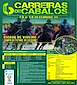 FiestasRelacionadas Carreiras de Cabalos en Viveiro