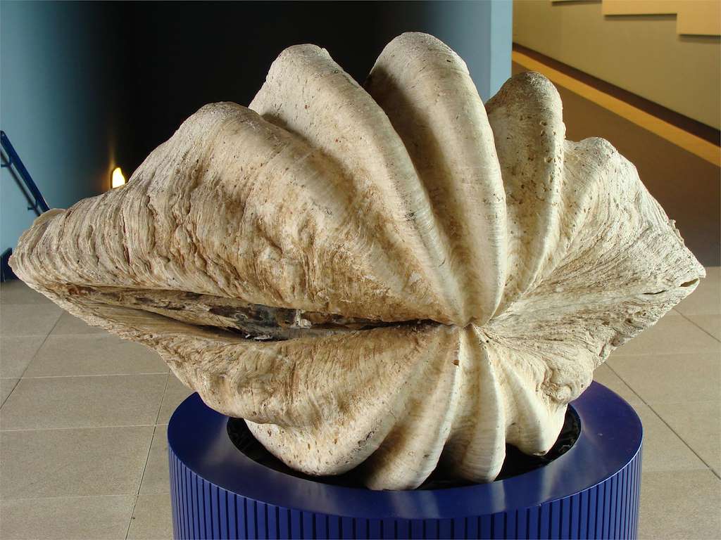 Casa de los Peces - Aquarium Finisterrae en A Coruña