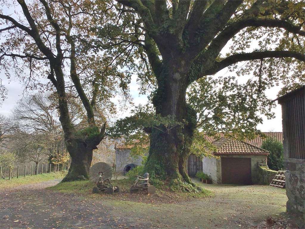 Casa Grande de Buciños en Carballedo