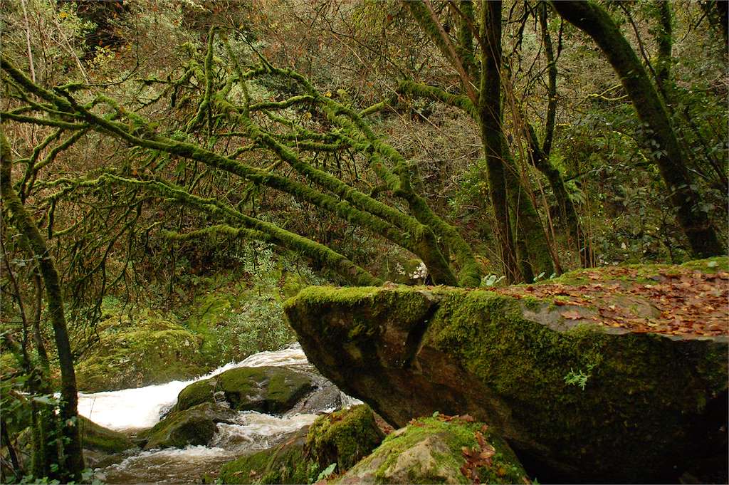 Cascadas del Río Toxa en Silleda