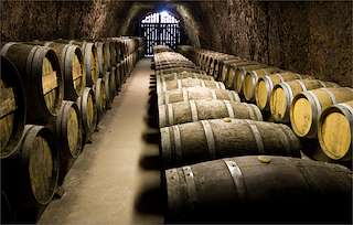 Castes - Feira Independente do Viño en Vilagarcía de Arousa