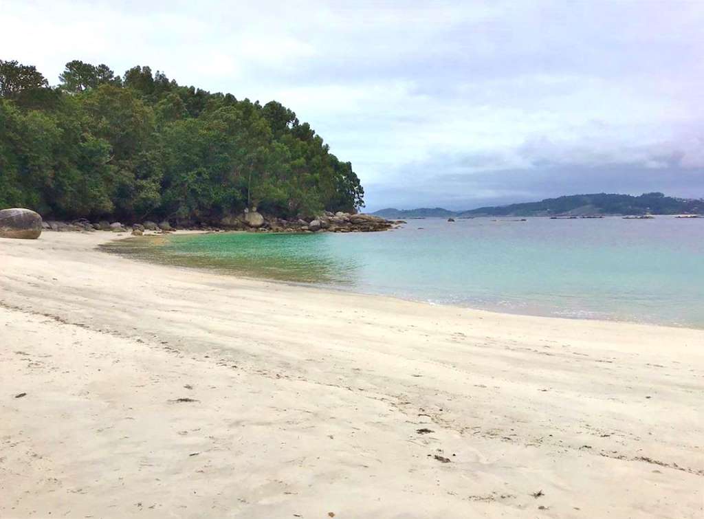 Castiñeiras en Cangas