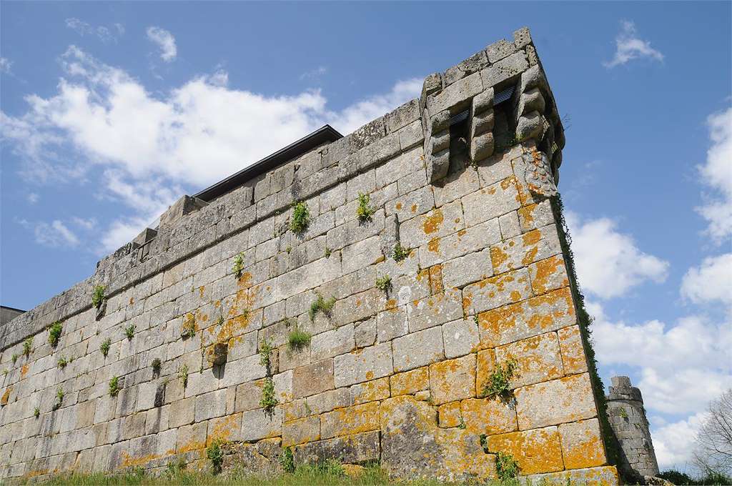 Castillo de Maceda