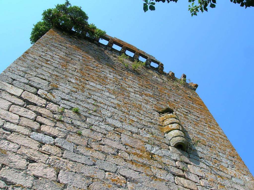 Castillo-Torre de Castroverde