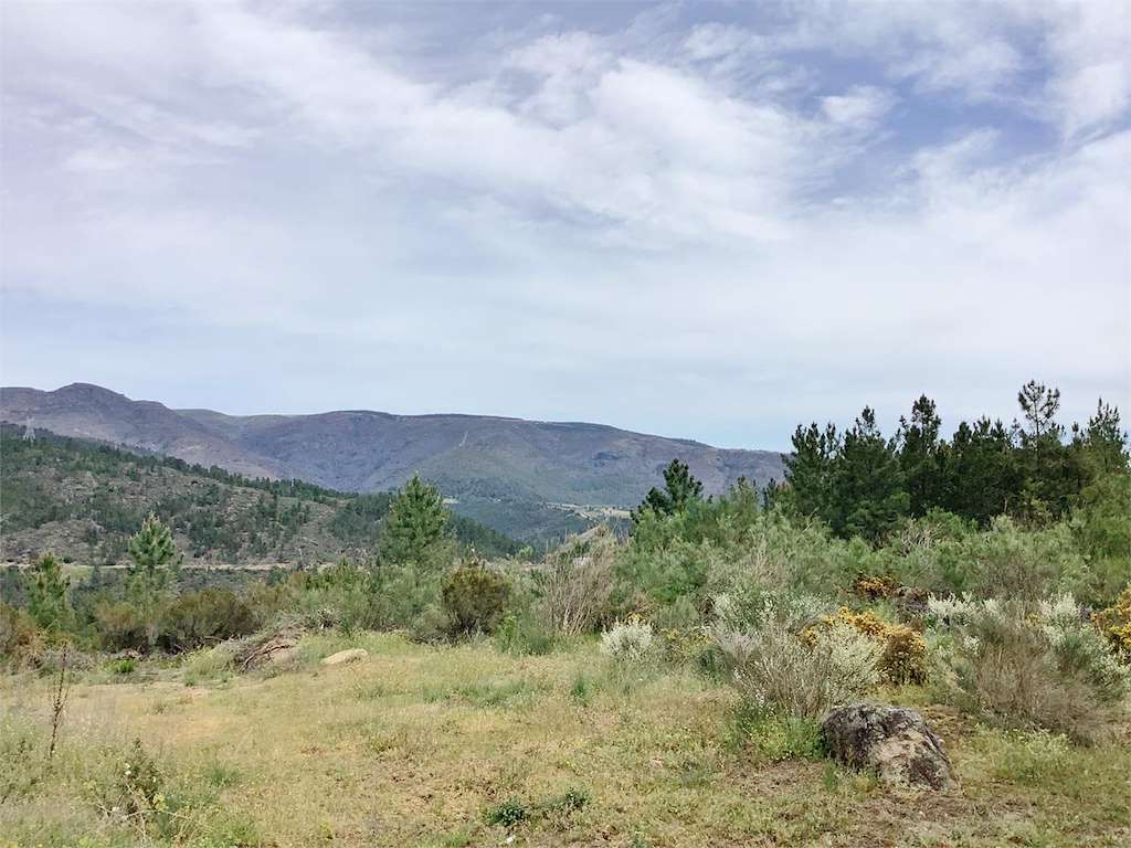 Castro Cabanelas en Larouco