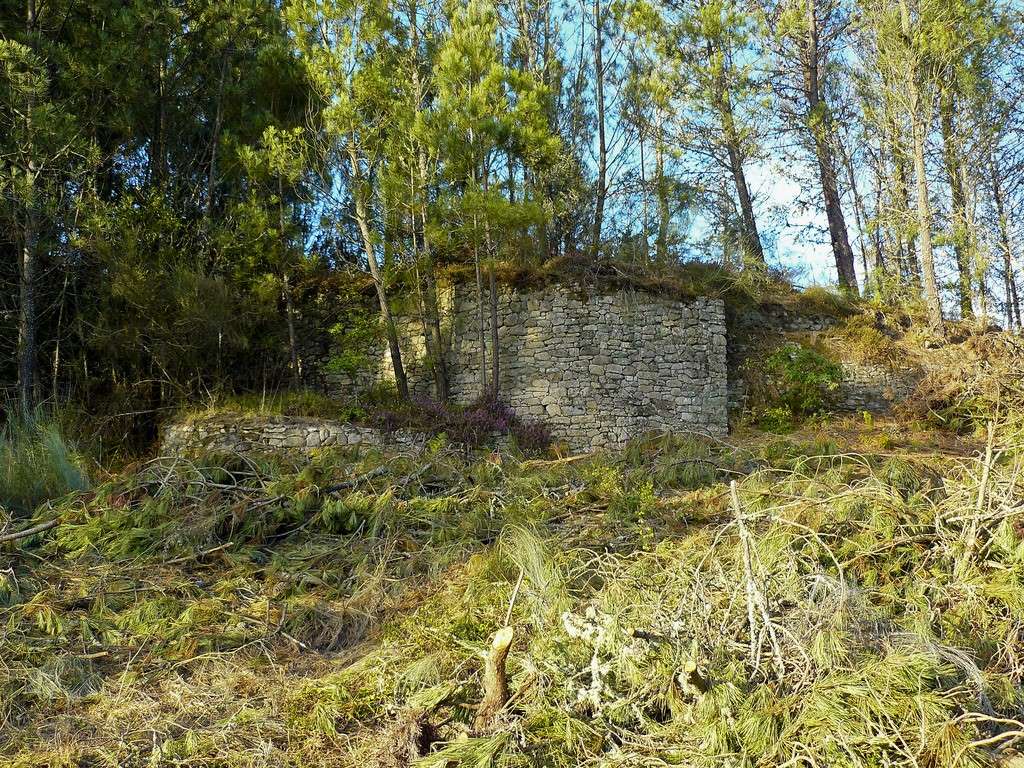 Castro Coto do Mosteiro en O Carballiño