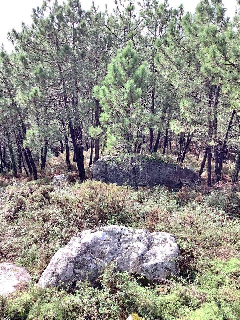 Castro da Siradella en O Grove