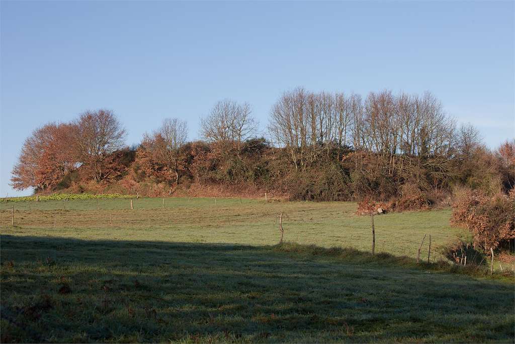 Castro de Doade en Lalín
