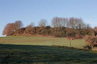 Castro de Doade