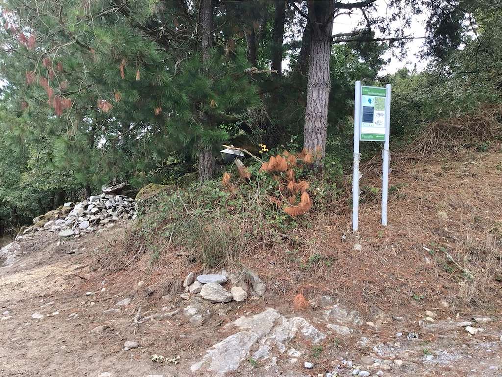 Castro de Francos en Paradela