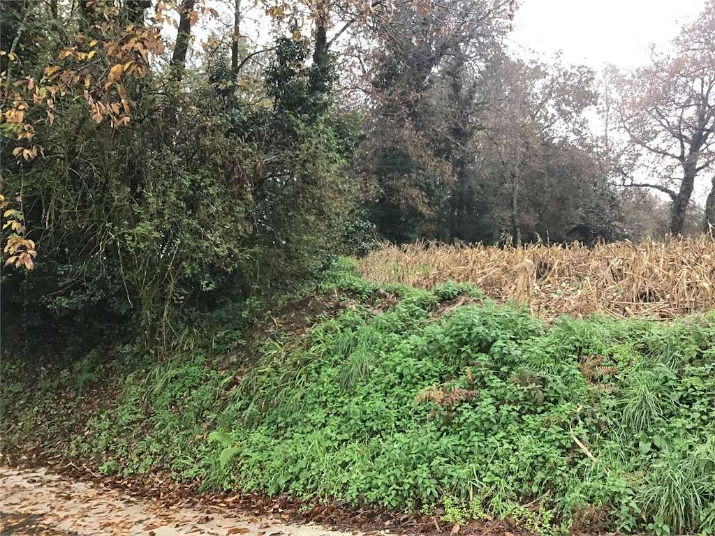 Castro de Vilar da Torre en A Baña