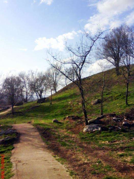 Castro Toiriz en Silleda