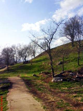 Fechas, información, programa, cartel, imágenes, mapa y ubicación de Castro Toiriz  en  Silleda