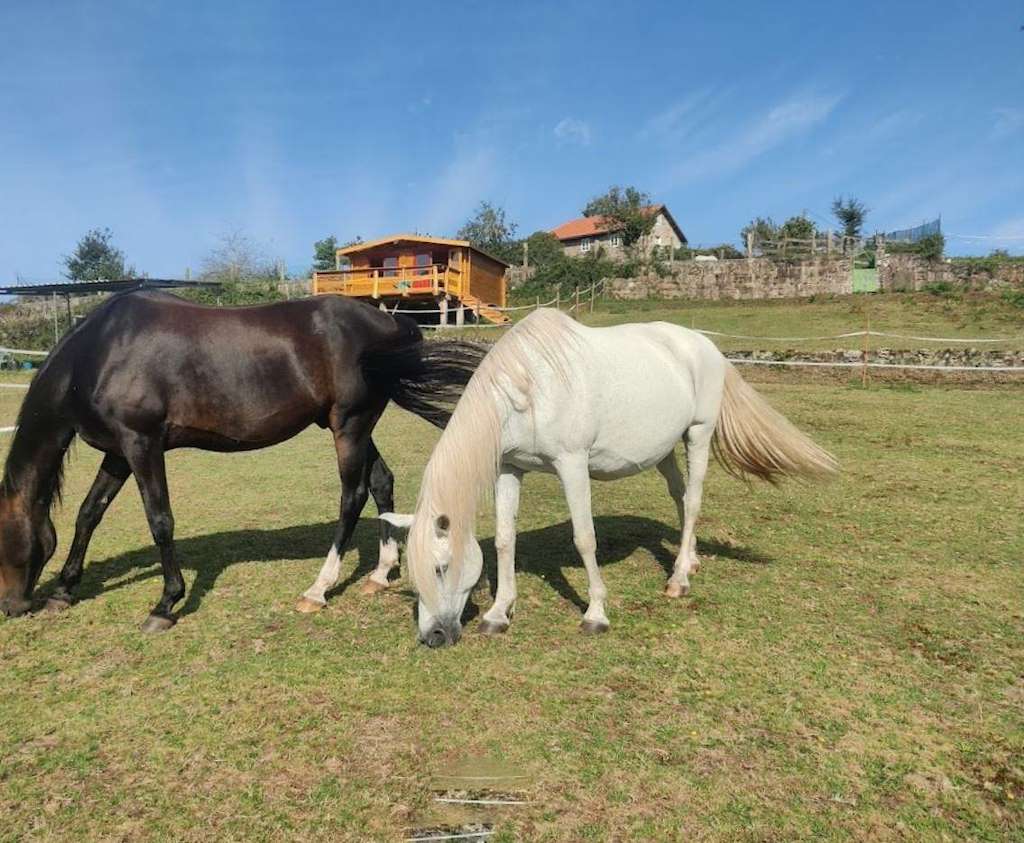 Centro Ecuestre Caballos Cima de Vila en Fornelos de Montes