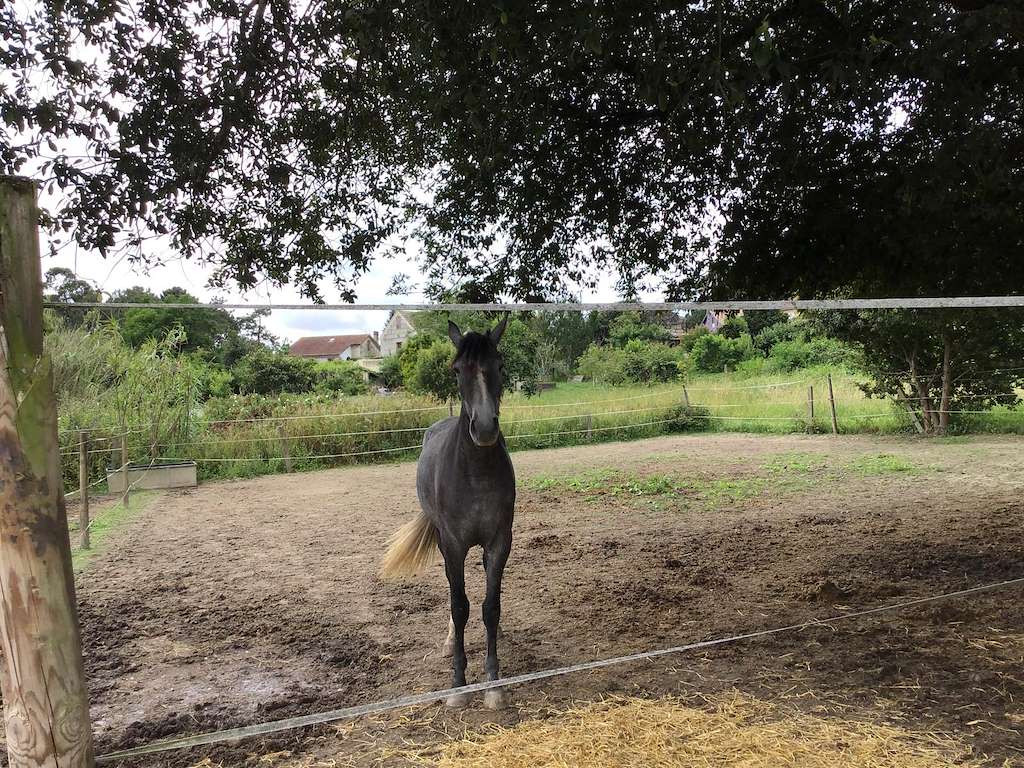 Centro Ecuestre Cearán en Nigrán