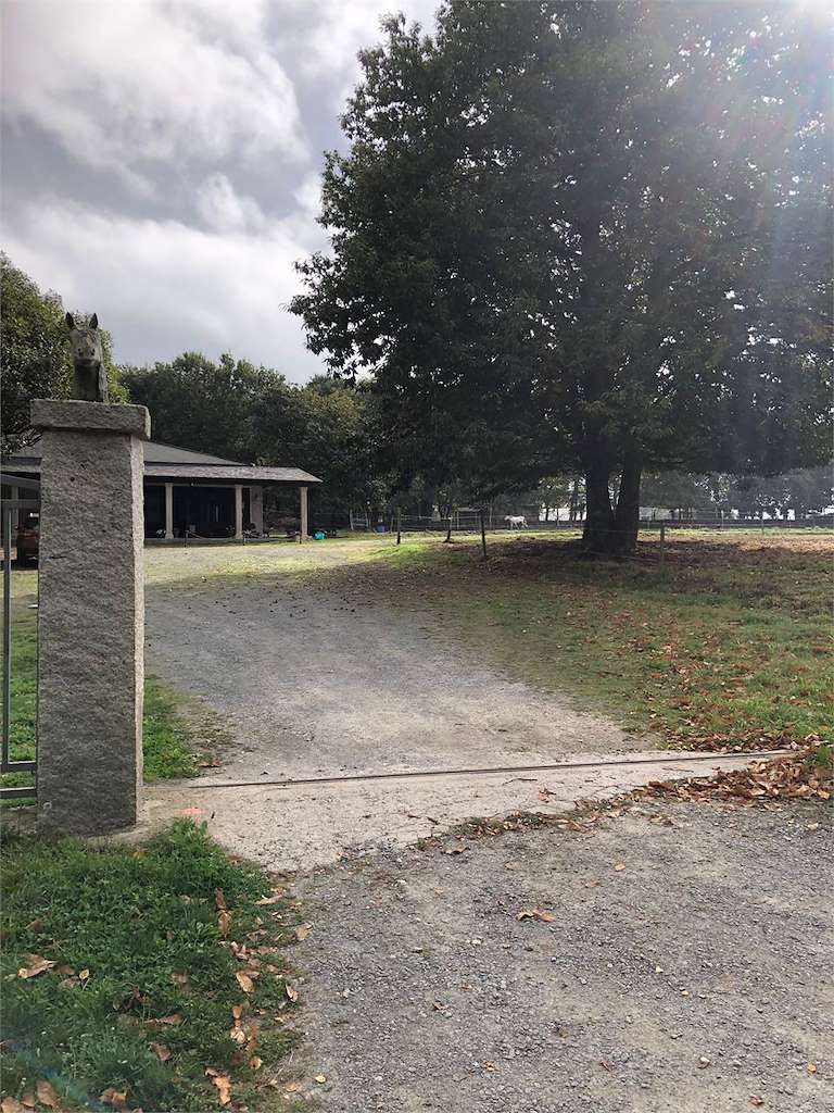 Centro Hípico Os Castiñeiros en Vilalba