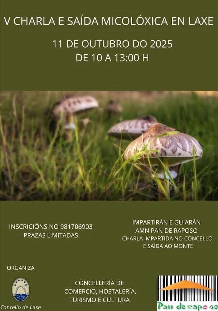 V Charla e Saída Micolóxica (2025) en Laxe