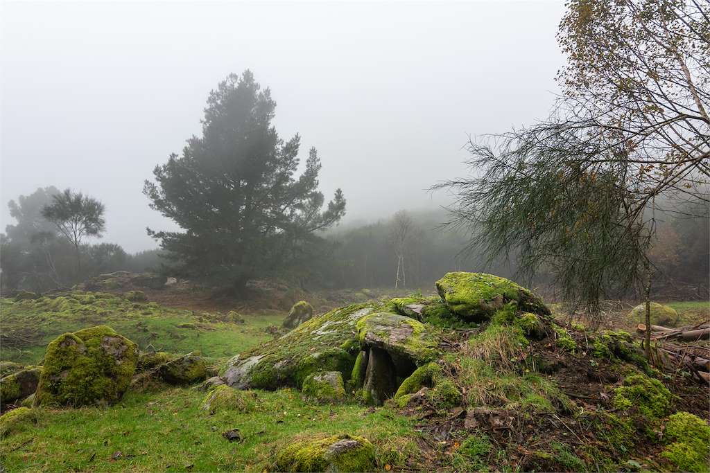Cidade das Costas do Alén en Fornelos de Montes