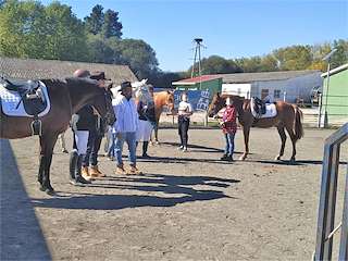 Club Deportivo Ecuestre de Ourense