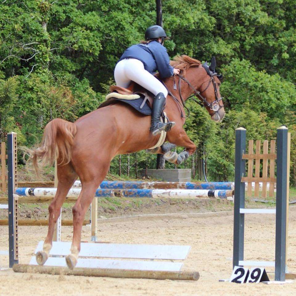 Club Hípico Equigalia en Tui