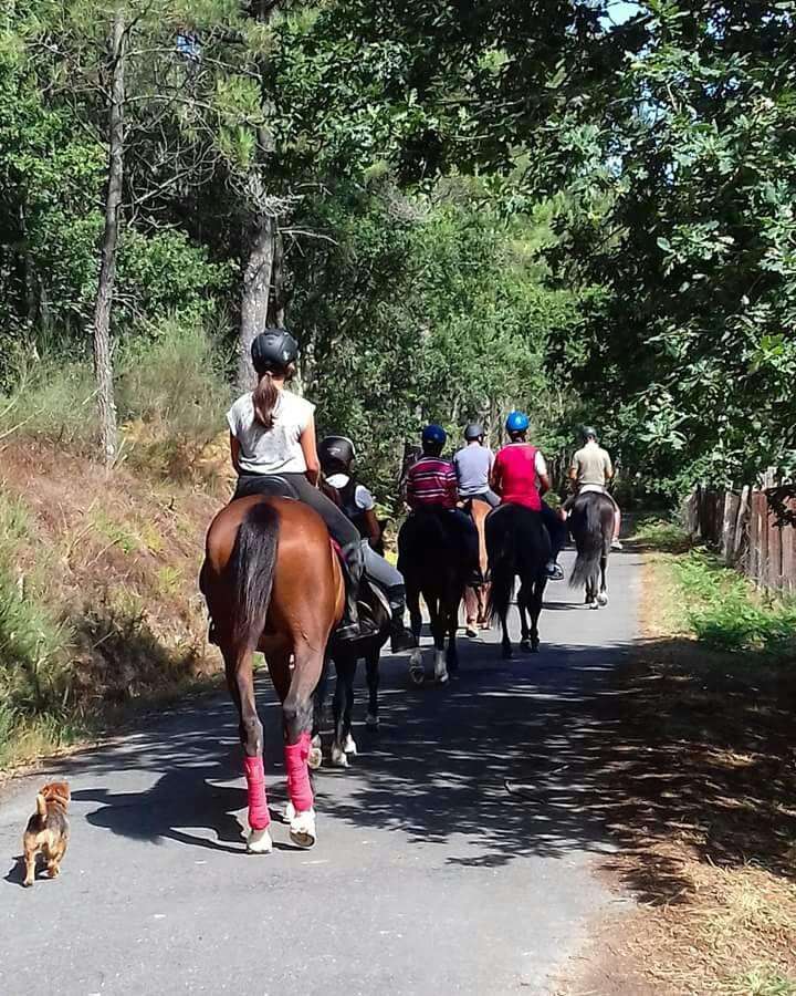 Club Hípico La Torre en A Estrada