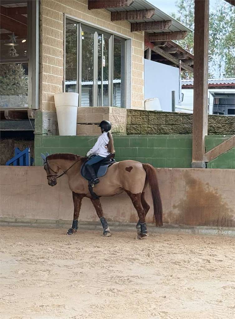 Club Hípico Royal en Oza Cesuras