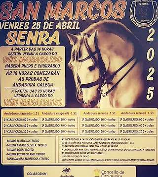 Concentración Cabalar de Senra (2026) en Ortigueira