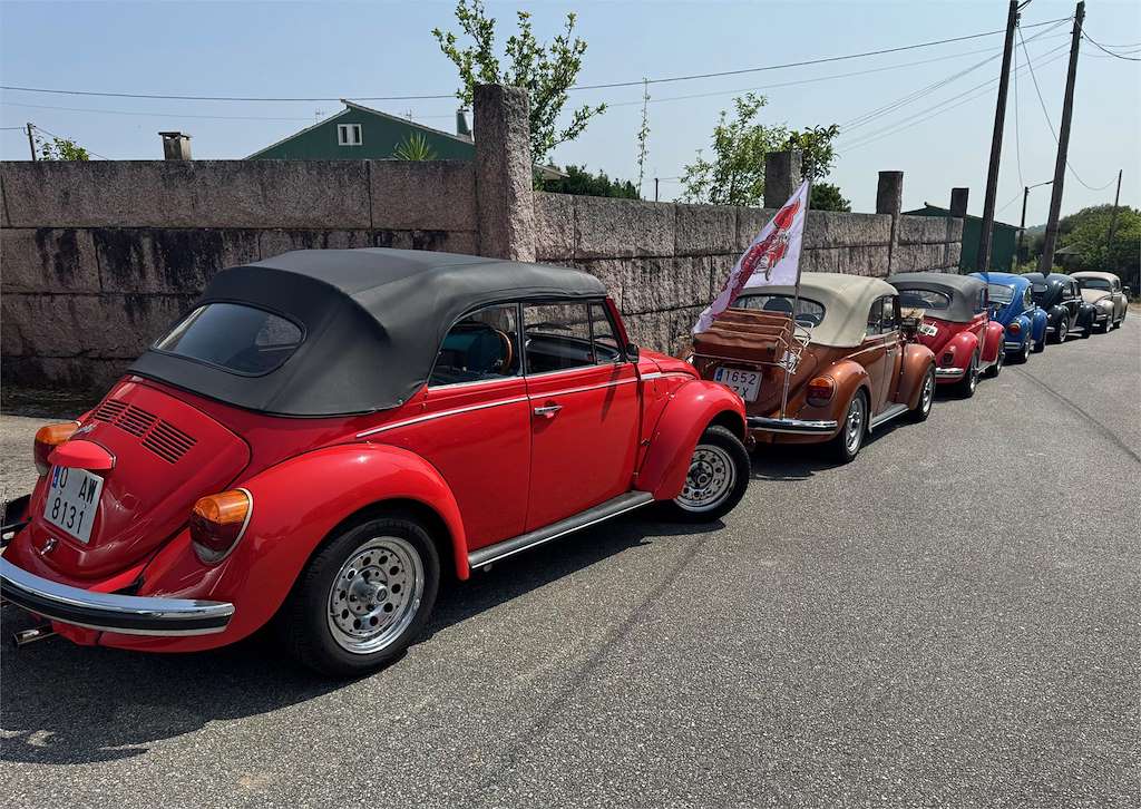 IX Concentración Escarabellos do Salnés en Meaño