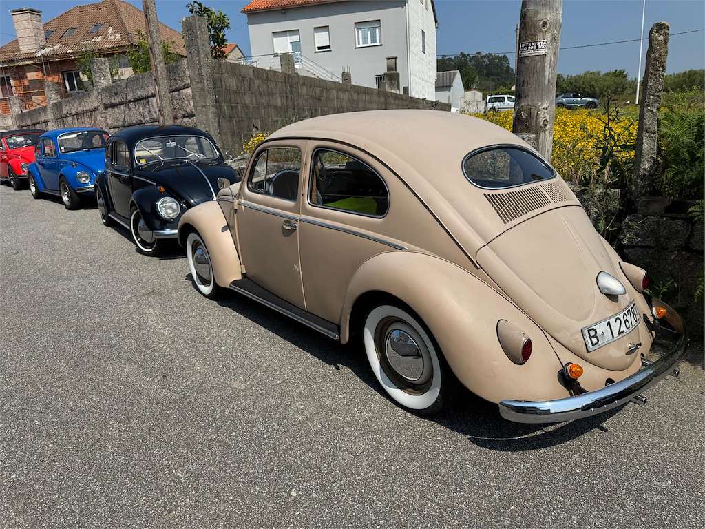 IX Concentración Escarabellos do Salnés en Meaño