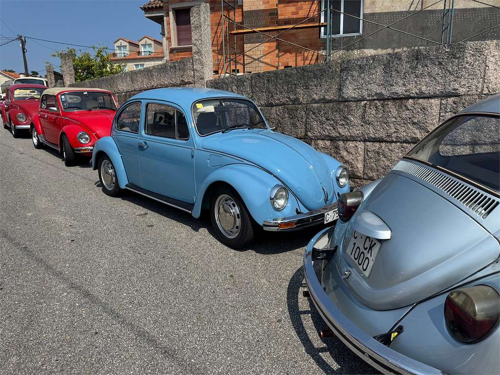 IX Concentración Escarabellos do Salnés en Meaño