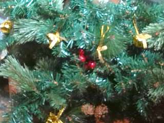 Concerto de Fin de Ano en Narón