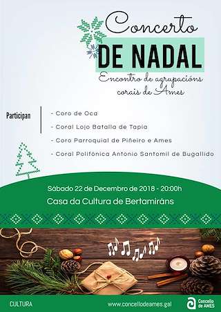 Concerto de Nadal  (2025) en Ames
