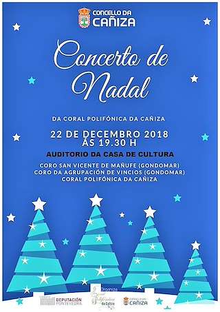 Concierto de Navidad Coral en A Cañiza