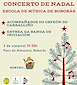 FiestasRelacionadas Concerto de Nadal en Boborás