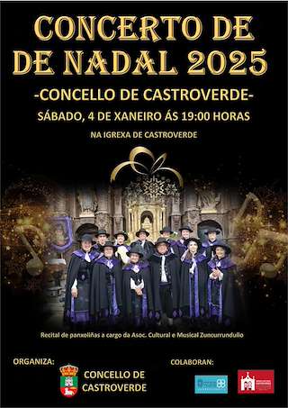 Fechas, información, programa, cartel, imágenes, mapa y ubicación de Concerto de Nadal  en  Castroverde