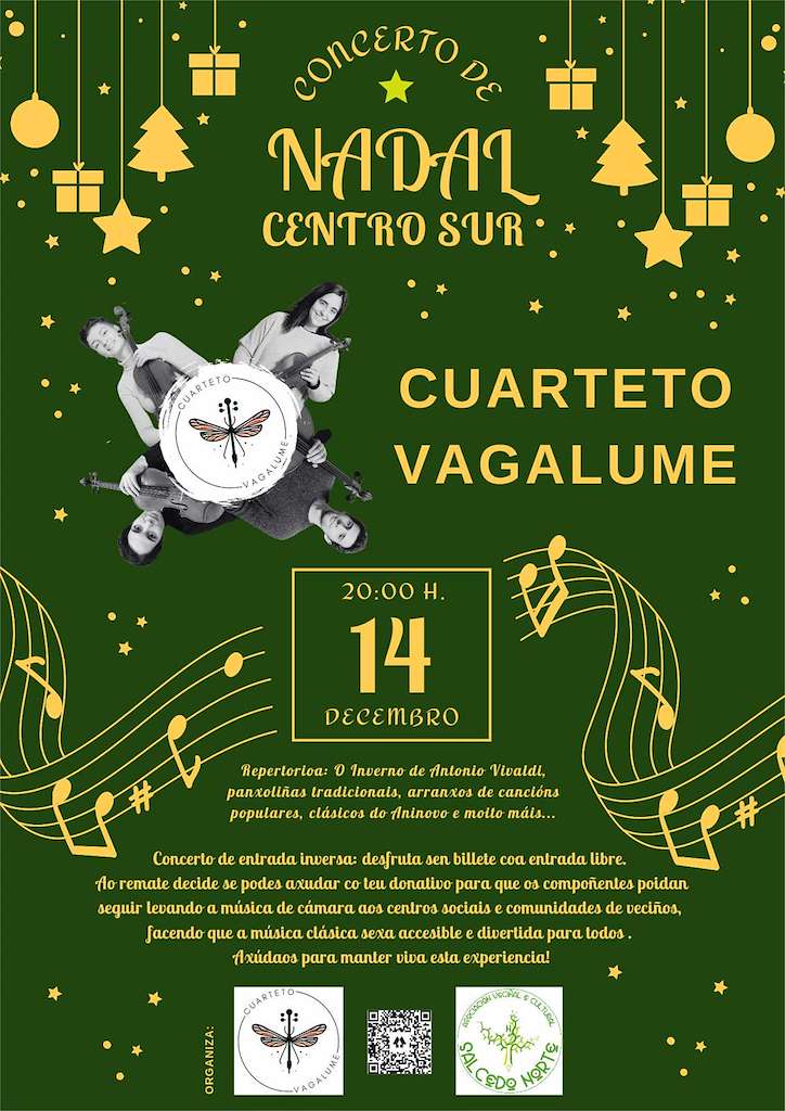 Concerto de Nadal Centro Sur en Pontevedra