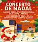 FiestasRelacionadas Concierto de Navidad en O Campo Lameiro