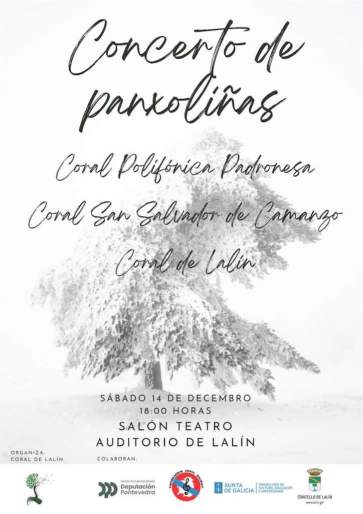 Concerto de Panxoliñas en Lalín