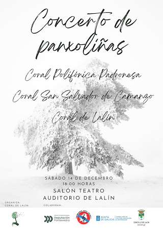 Fechas, información, programa, cartel, imágenes, mapa y ubicación de Concerto de Panxoliñas  en  Lalín