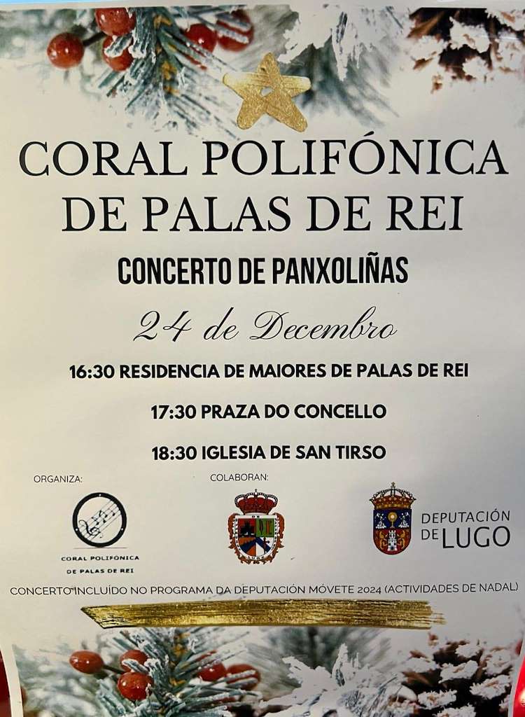 Concerto de Panxoliñas en Palas de Rei