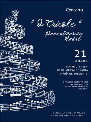 Fechas, información, programa, cartel, imágenes, mapa y ubicación de Concerto Panxoliñas de Nadal  en  Sober