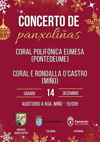 Fechas, información, programa, cartel, imágenes, mapa y ubicación de Concierto de Panxoliñas  en  Miño