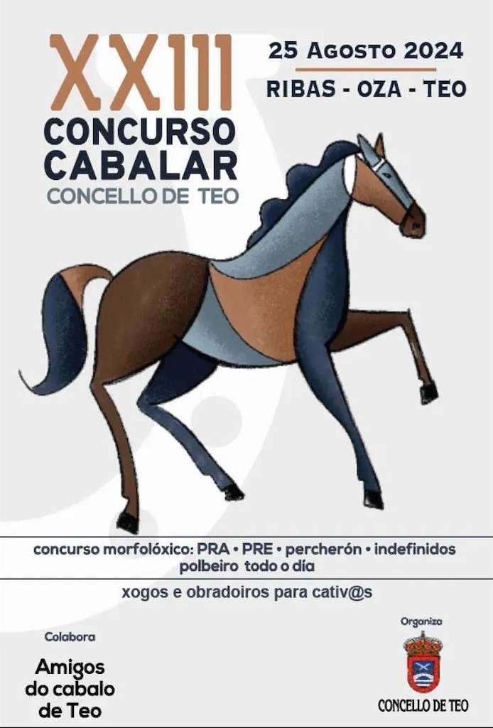 XXII Concurso Cabalar en Teo