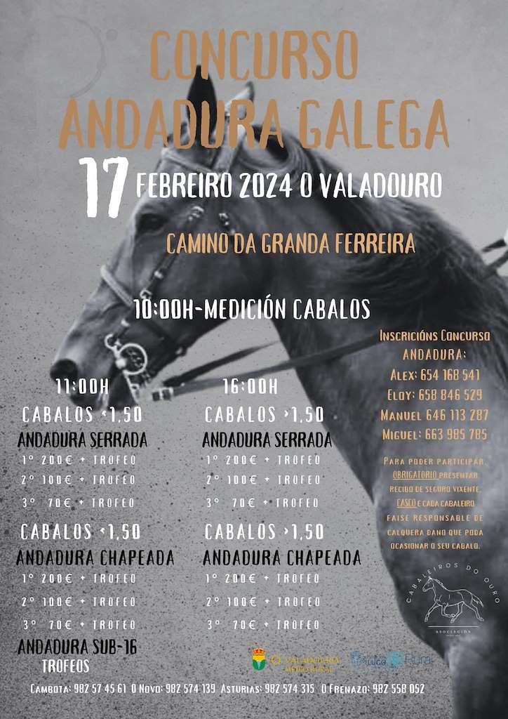 Concurso de Andadura Galega (2025) en O Valadouro